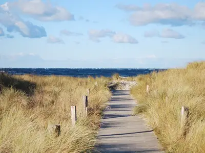 Ferienwohnung für 4 Personen (70 m²) in Dierhagen (Ostseebad) 7/10