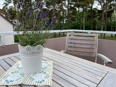 Ferienwohnung für 3 Personen (32 m²) in Dierhagen (Ostseebad) 9/10