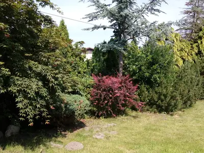 Ferienwohnung für 4 Personen (50 m²) in Dierhagen (Ostseebad) 5/10