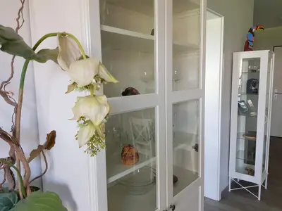 Ferienwohnung für 5 Personen (57 m²) in Dierhagen Strand 5/10