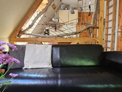 Ferienwohnung für 3 Personen (30 m²) in Dierhagen (Ostseebad) 5/10