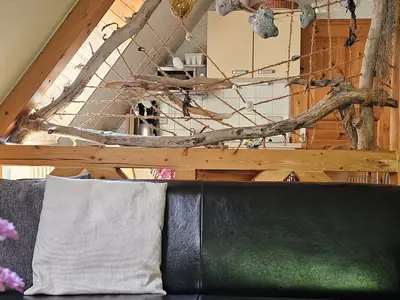 Ferienwohnung für 3 Personen (30 m²) in Dierhagen (Ostseebad) 6/10