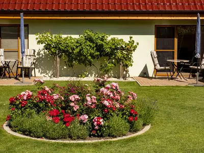 Ferienwohnung für 2 Personen (36 m²) in Dierhagen Strand 8/10