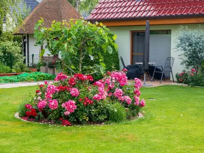 Ferienwohnung für 2 Personen (36 m²) in Dierhagen Strand 10/10