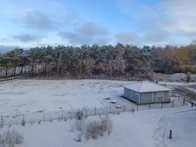Ferienwohnung für 3 Personen (55 m²) in Dierhagen (Ostseebad) 4/10