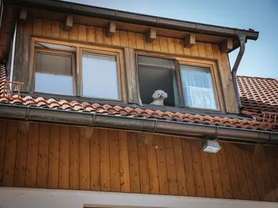 Ferienwohnung für 6 Personen (60 m²) in Dießen Am Ammersee 2/10