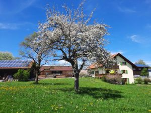 Ferienwohnung für 4 Personen in Dietmannsried