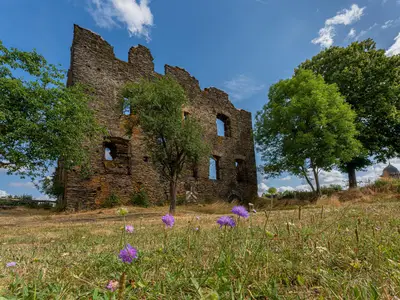 Burgruine Dill