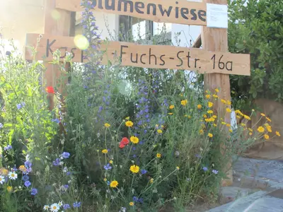 Ferienwohnung für 4 Personen (55 m²) in Dillingen an der Donau 6/10