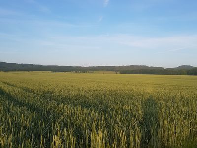 Blick auf die angrenzende Natur