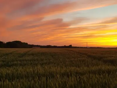 Sonnenuntergang hinter dem Haus