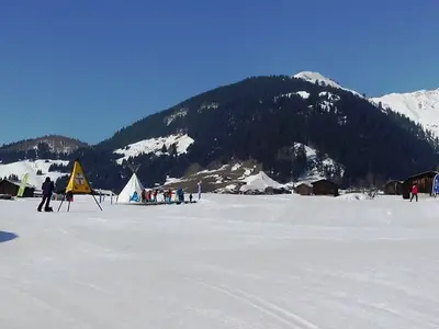 Ferienwohnung für 4 Personen in Disentis/Mustér 9/10