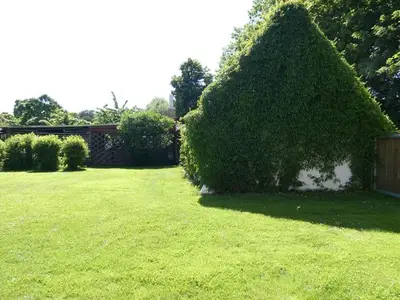 Ferienwohnung für 3 Personen (60 m²) in Divitz-Spoldershagen 4/10
