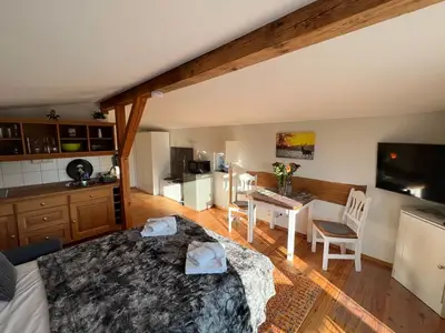 Ferienwohnung für 2 Personen (25 m²) in Dobbin-Linstow 7/10