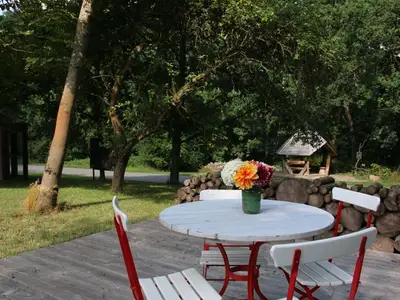 Ferienwohnung für 2 Personen (25 m²) in Dobbin-Linstow 6/10