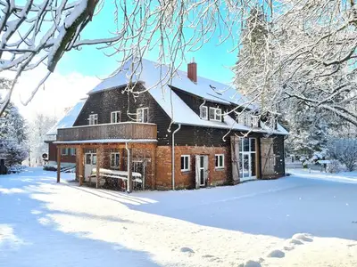 Ferienwohnung für 4 Personen (65 m²) in Dobbin-Linstow 1/10