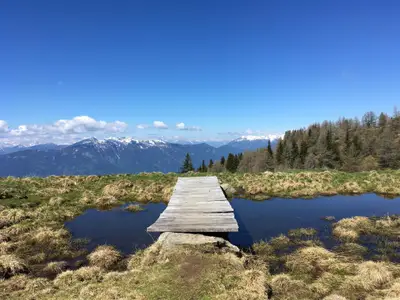 Natur - 4