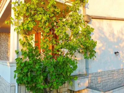 Ferienwohnung für 4 Personen (30 m²) in Dobrinj 7/10