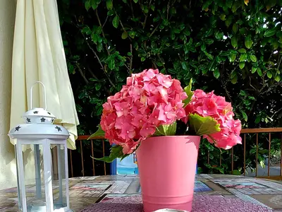 Ferienwohnung für 3 Personen (35 m²) in Dobrinj 3/10