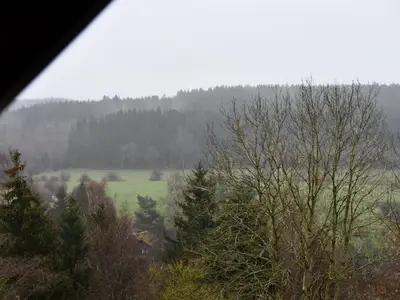 ViewSummer