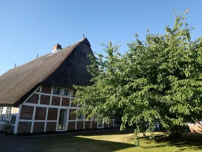 Ferienwohnung für 2 Personen (30 m²) in Dollern 3/10