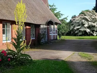 Ferienwohnung für 2 Personen (30 m²) in Dollern 9/10