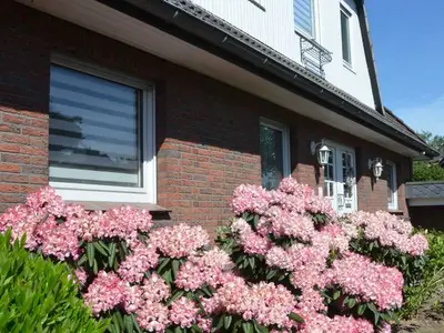 Ferienwohnung für 3 Personen (60 m²) in Dollern 2/10
