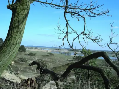 Erkunden Sie die unglaubliche Landschaft - zu Fuß, per Rad oder mit den hauseigenen Paddelbooten