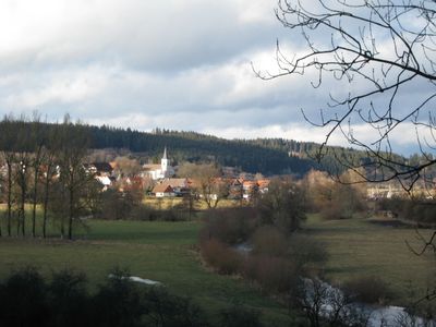 Ferienwohnung für 4 Personen (95 m²) in Donaueschingen 9/10