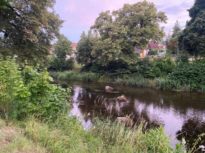 23485070-Ferienwohnung-3-Donaueschingen-800x600-1