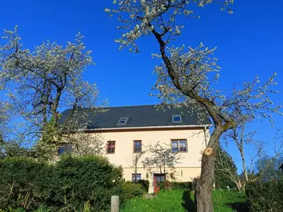 Ferienwohnung für 4 Personen (34 m²) in Dorfchemnitz 4/10