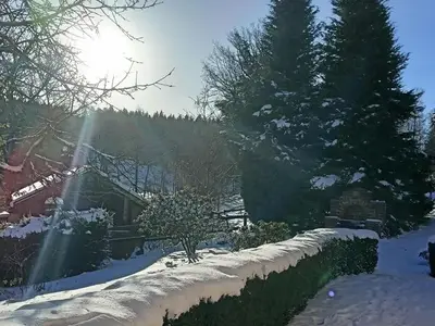 Ferienwohnung für 4 Personen (34 m²) in Dorfchemnitz 4/10