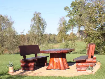 Ferienwohnung für 4 Personen (42 m²) in Dorfchemnitz 7/10