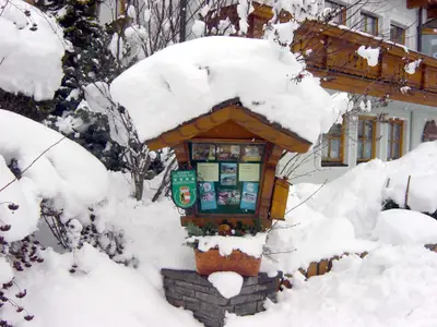 Dorfgastein-Gästehaus-Alpina-Winter-Schaukasten
