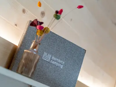 Ferienwohnung für 4 Personen (29 m²) in Dornbirn 8/10