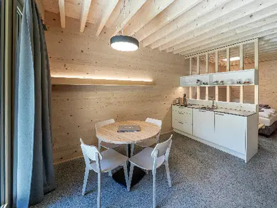 Ferienwohnung für 4 Personen (29 m²) in Dornbirn 8/10