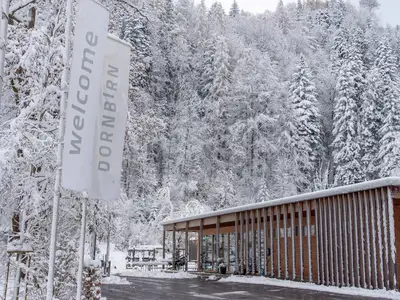 Ferienwohnung für 4 Personen (29 m²) in Dornbirn 5/10