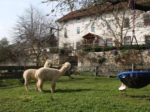 Ferienwohnung für 4 Personen (34 m²) in Dornburg-Camburg