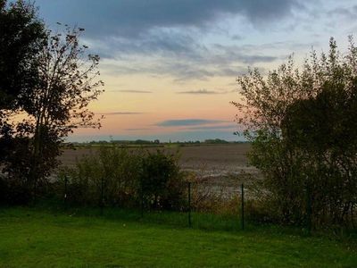 Blick aus dem Garten auf´s Feld