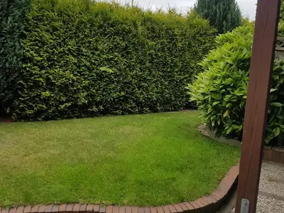 Ferienwohnung für 3 Personen (55 m²) in Dornum 2/10