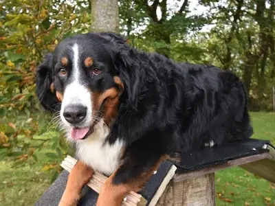 Ferienwohnung für 2 Personen (38 m²) in Dornum 4/10