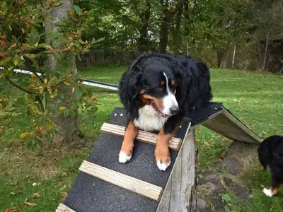 Ferienwohnung für 2 Personen (38 m²) in Dornum 6/10