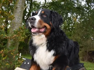 Ferienwohnung für 2 Personen (34 m²) in Dornum 8/10