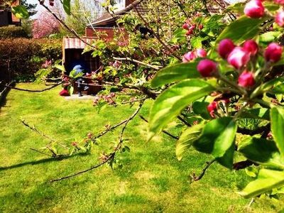 Garten  entspannen im Strandkorb