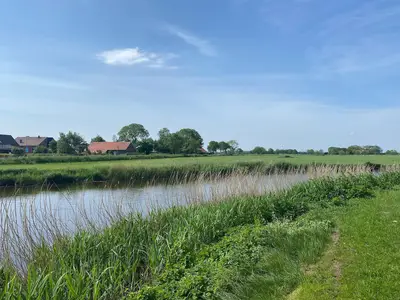 ViewSummer