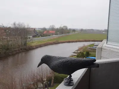 Aussicht vom Balkon