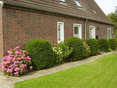 Ferienwohnung für 5 Personen in Dornumersiel 10/10