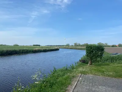 ViewSummer