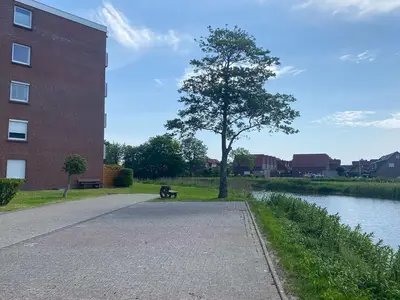 ViewSummer