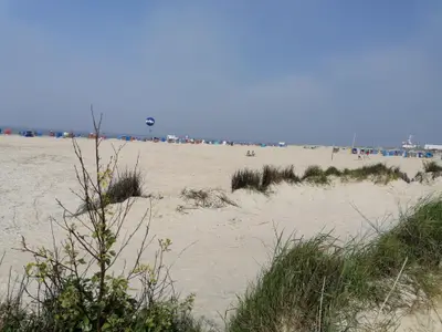 IMG_20210604_173230_BURST080